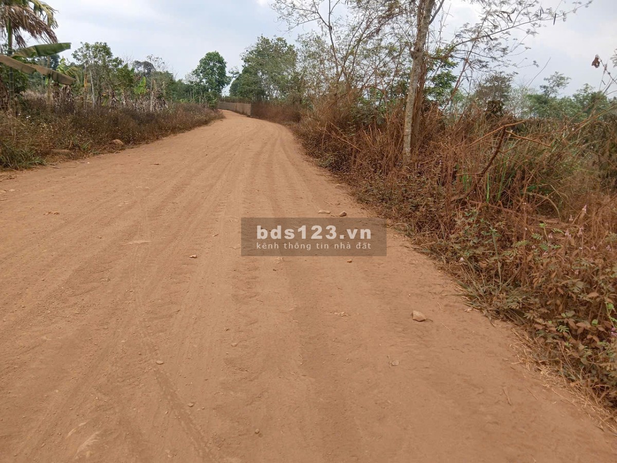 Chú Tư gửi bán lô đất chính chủ, chưa qua đầu tư. Xã Ea Drông, thị xã Buôn Hồ, Đắk Lắk