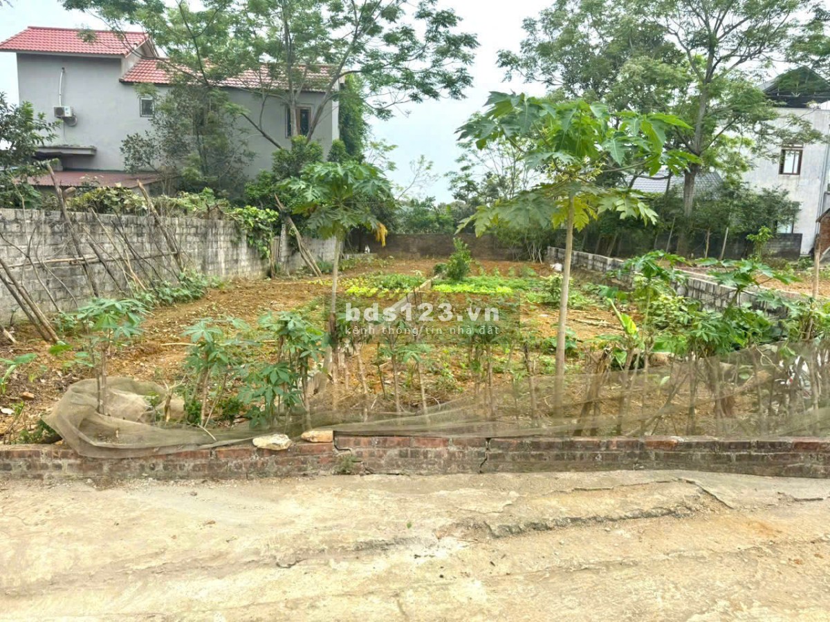 Đất góc 2 mặt tiền, 120m2 thổ cư tại Bạch Thạch, Quốc Oai