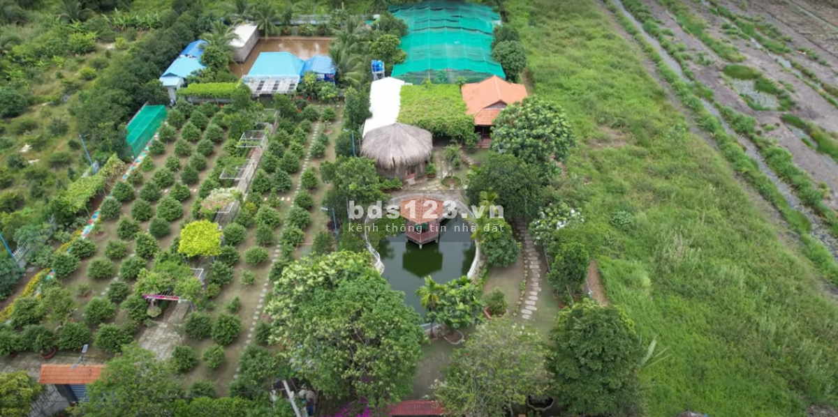 Bán đất Bình Chánh (MT Vườn Thơm - Bình Lợi); 21x88m (1833m2); hạ tầng hoàn chỉnh; sổ đỏ; 14 tỷ