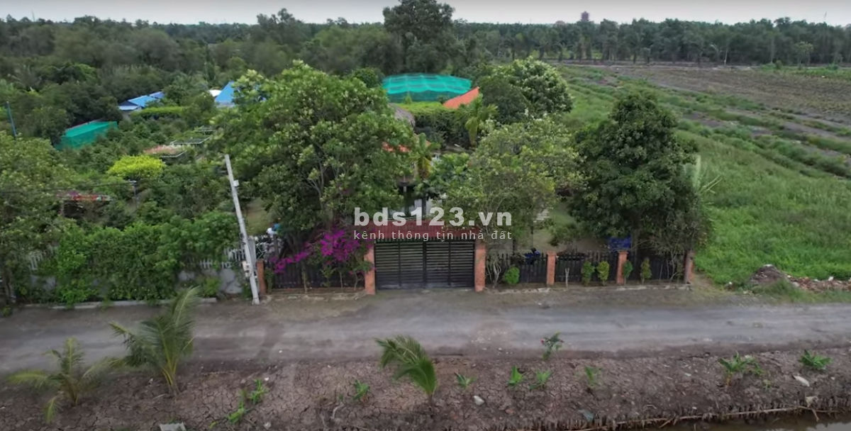 Bán đất Bình Chánh (MT Vườn Thơm - Bình Lợi); 21x88m (1833m2); hạ tầng hoàn chỉnh; sổ đỏ; 14 tỷ