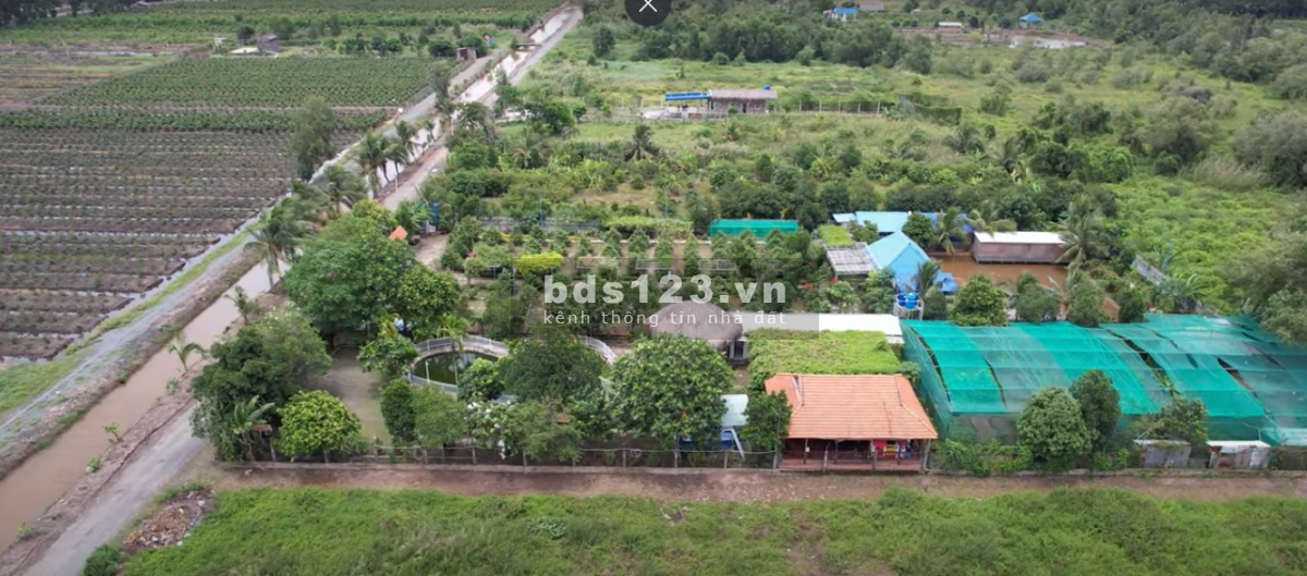 Bán đất Bình Chánh (MT Vườn Thơm - Bình Lợi); 21x88m (1833m2); hạ tầng hoàn chỉnh; sổ đỏ; 14 tỷ