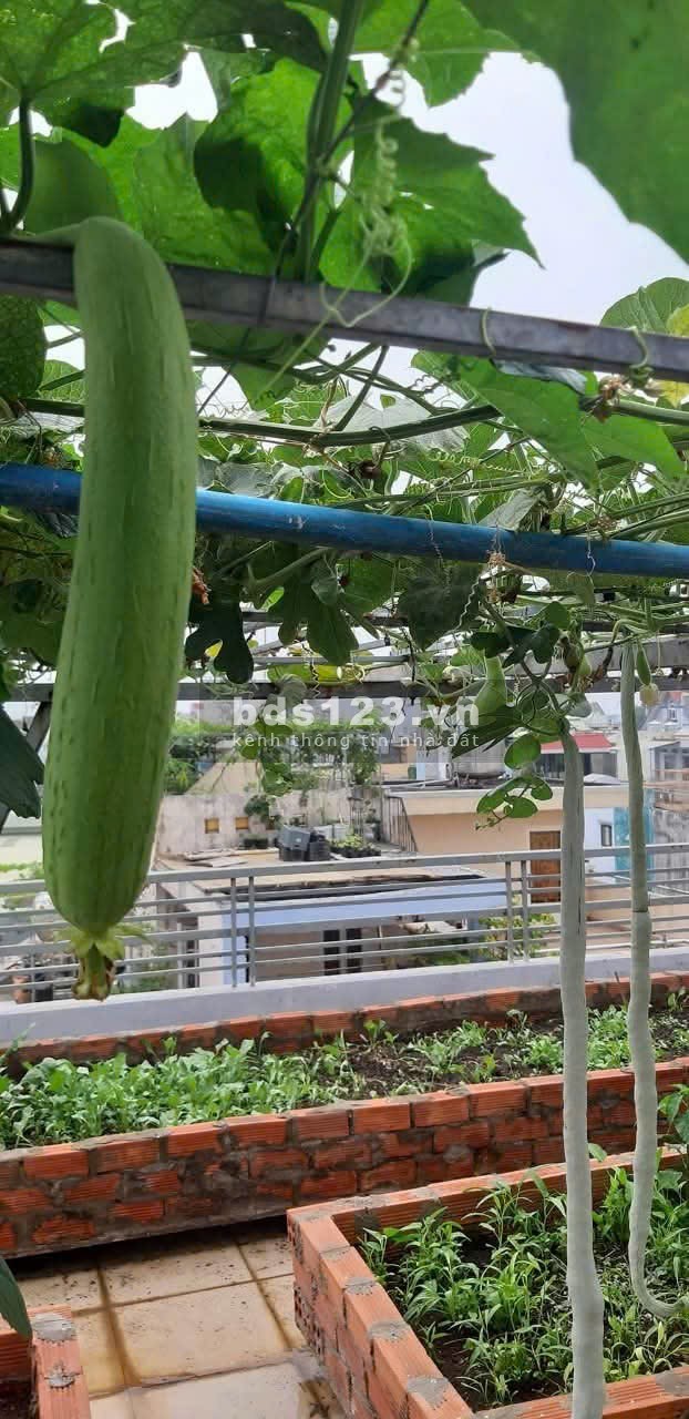 Tân Bình, bán nhà trục hẻm 118 Phan Huy Ích, 4 tầng + sân thượng, diện tích 7x15m