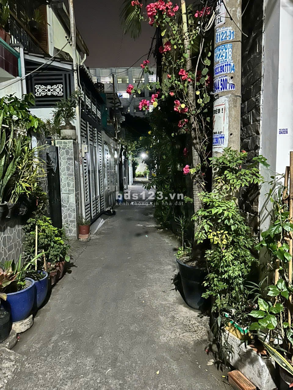 Bán nhà hẻm kế siêu thị Co.op Quang Trung, P11, Gò Vấp – Giá nhỉnh 5 tỷ