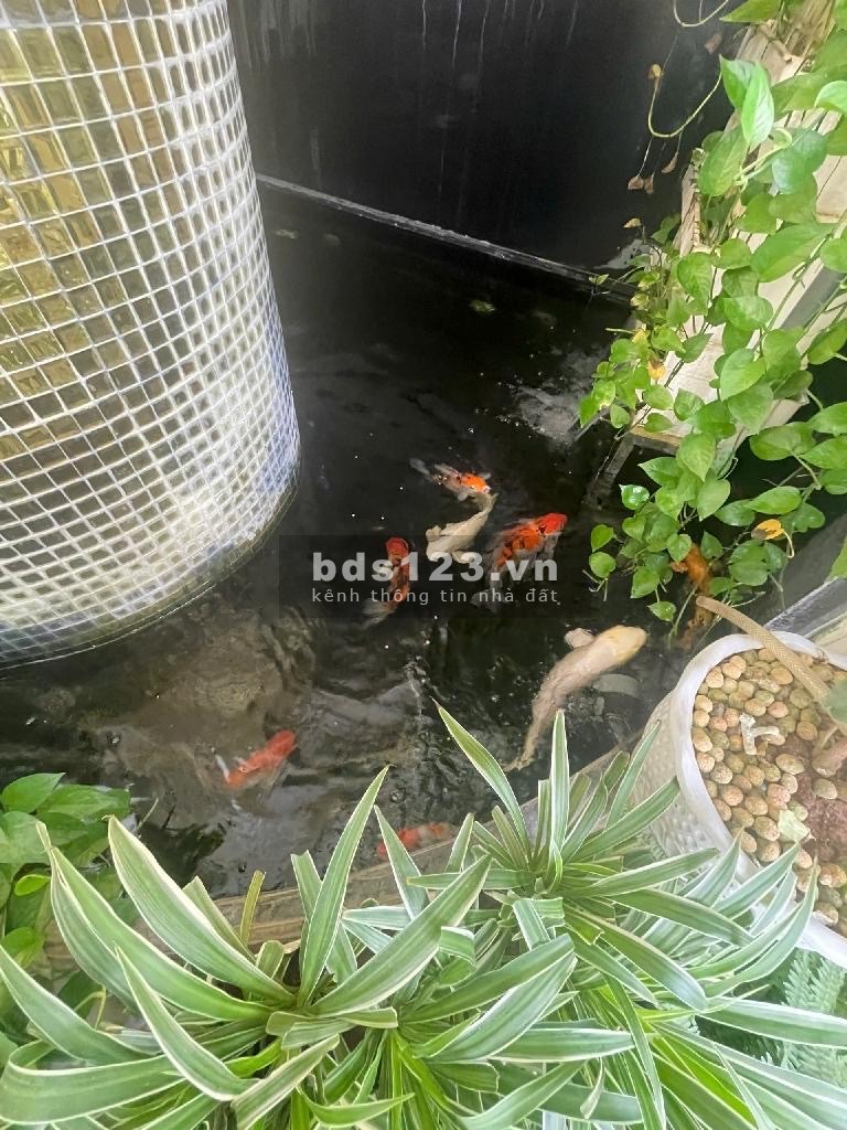 Mùa hè không cần dùng quạt – Lô góc 3 mặt, Ngụy Như Kon Tum, giá nhỉnh 10 tỷ, diện tích 177 m²