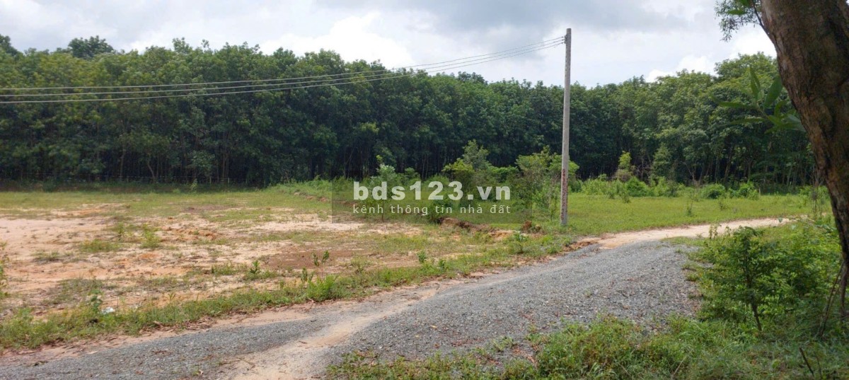 Bán đất Bình Dương (cạnh KCN Mỹ Phước 3 - Bến Cát); 5x53m (thổ cư 100m2); tiện xây dựng; 1,45 tỷ
