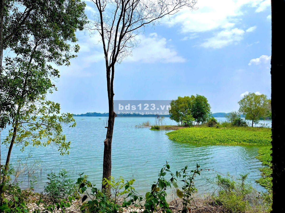 Đất vườn phủ hồng ONT giáp hồ Trị An - View hồ - View Đức Mẹ Núi Cúi - Đường đi oto vào tận đất