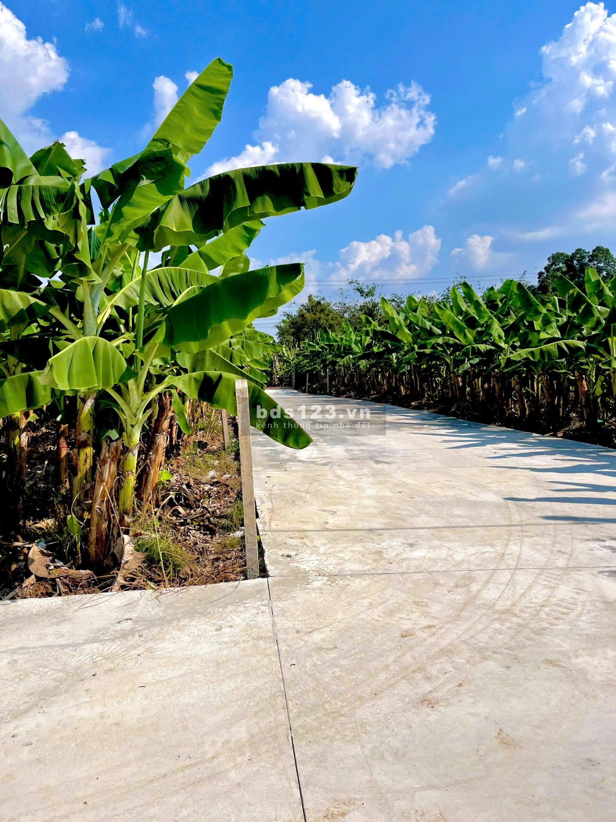 Đất vườn phủ hồng ONT giáp hồ Trị An - View hồ - View Đức Mẹ Núi Cúi - Đường đi oto vào tận đất