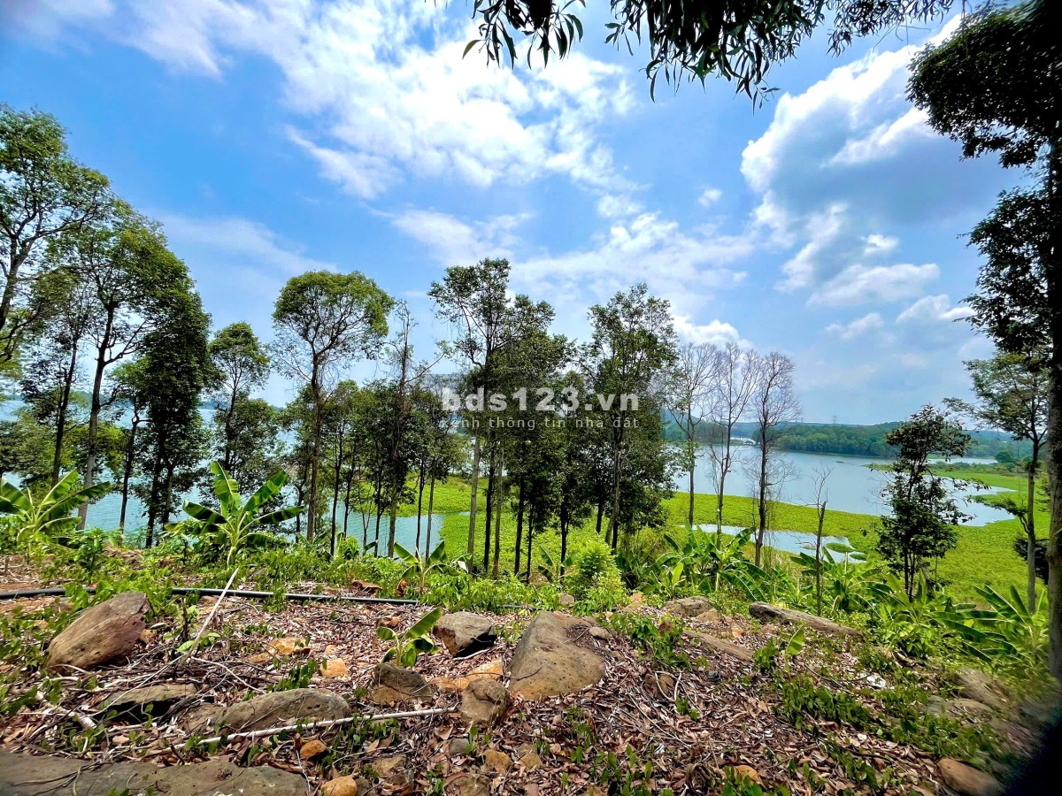 Đất vườn phủ hồng ONT giáp hồ Trị An - View hồ - View Đức Mẹ Núi Cúi - Đường đi oto vào tận đất