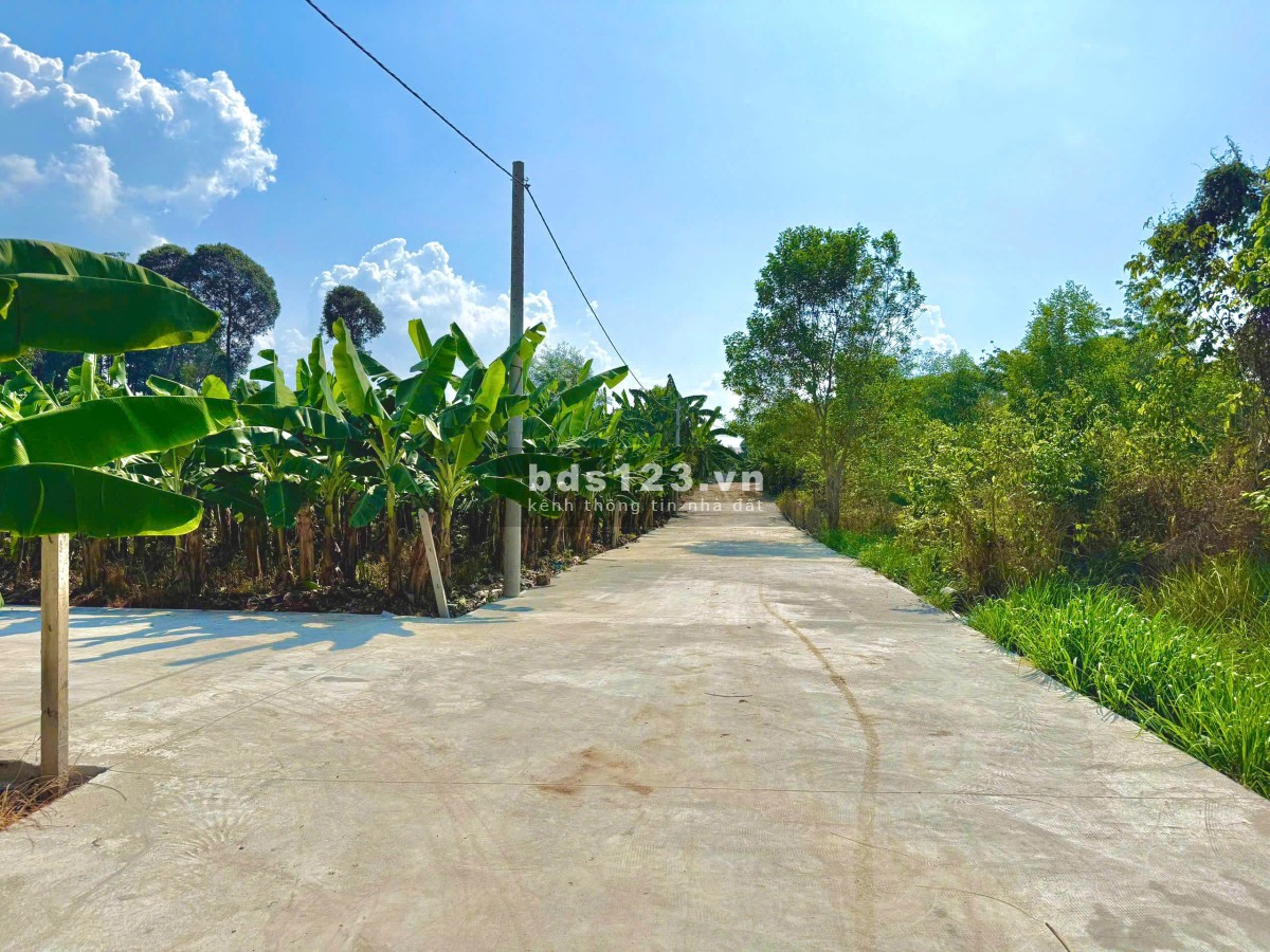 Đất vườn phủ hồng ONT giáp hồ Trị An - View hồ - View Đức Mẹ Núi Cúi - Đường đi oto vào tận đất