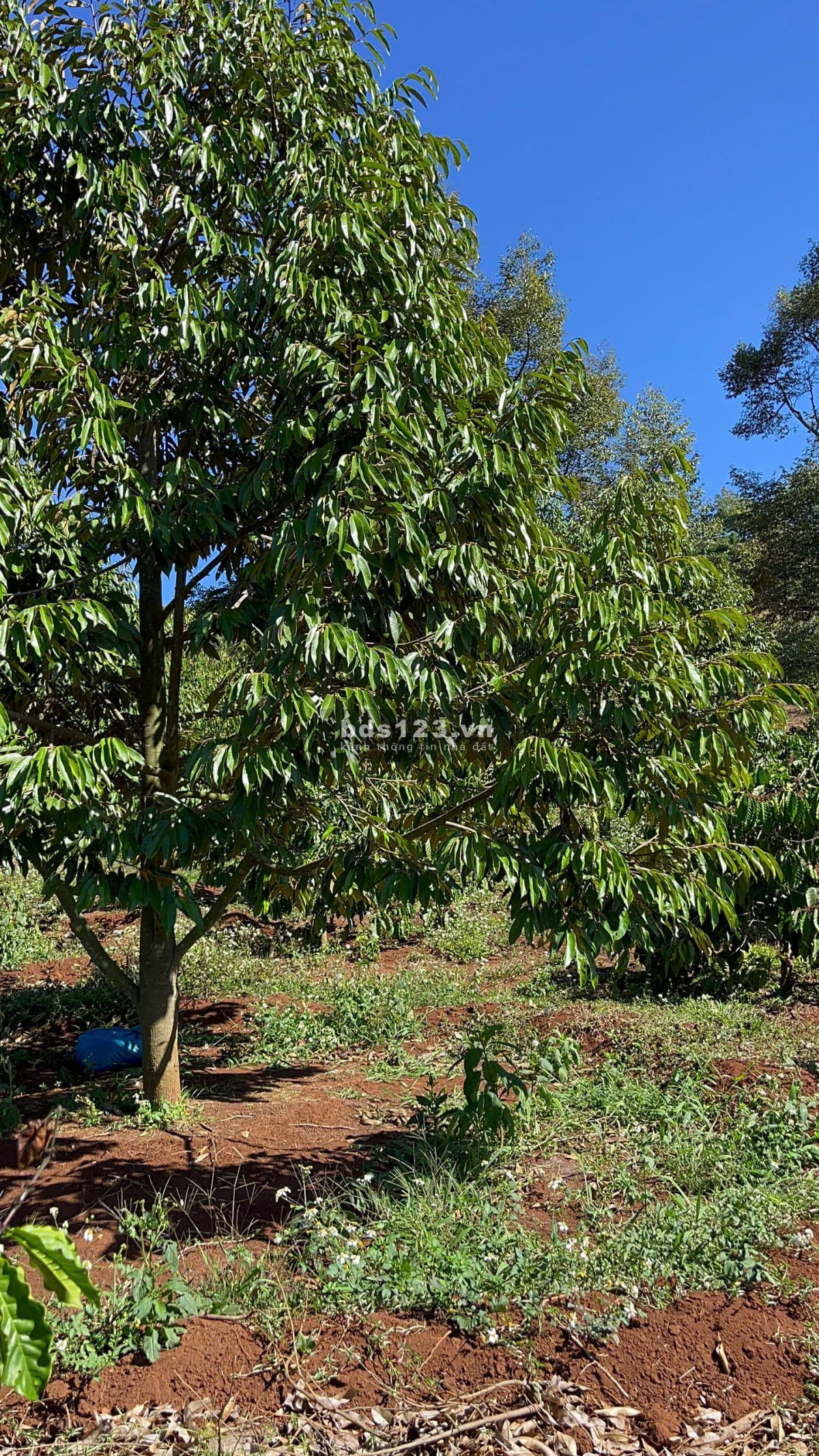 Cần bán lô đất giá rẻ, view đẹp – Quốc lộ 14, xã Cư Né, Krông Búk, Đắk Lắk