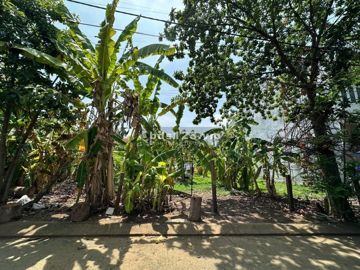 Bán đất Quận 9 (hẻm xe hơi đường Cầu Đình); 4x20,7m; tiện xây dựng; sổ đỏ; 3 tỷ