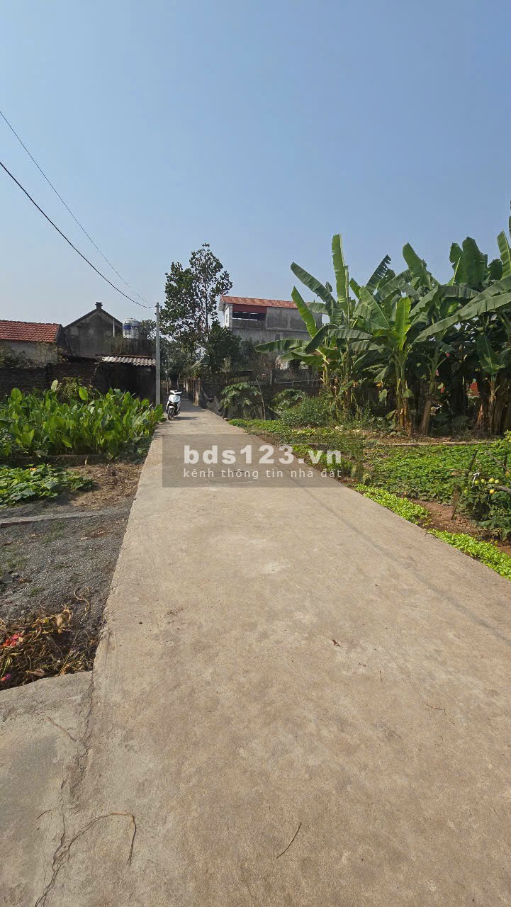 Chính chủ gửi bán 1 lô tại Tràng Cát - Kim An - Thanh Oai 40m2 mà giá chỉ 1 tỷ 330tr