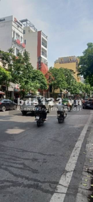 Chính Chủ Bán Gấp Nhà Phố Huế 21/100M (T2-5) Mt 5.4m Giá 4.25 tỷ