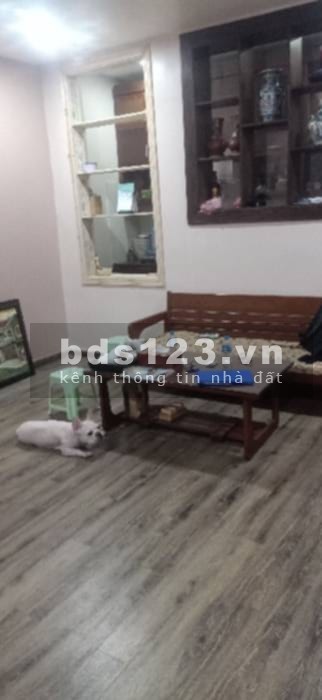 Chính Chủ Bán Gấp Nhà Phố Huế 21/100M (T2-5) Mt 5.4m Giá 4.25 tỷ