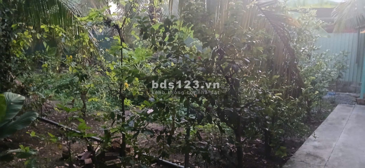 Cần bán 1 công đất sát DT 870 Tiền Giang. Lên Cầu Rạch Miễu 2