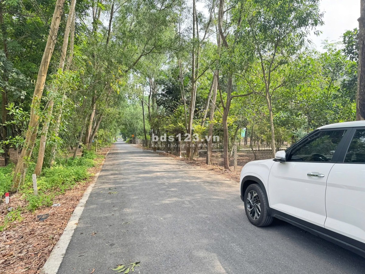 Cần bán gấp mảnh đất vườn ở An Tây, Bến Cát, Bình Dương trước ngày 11/5