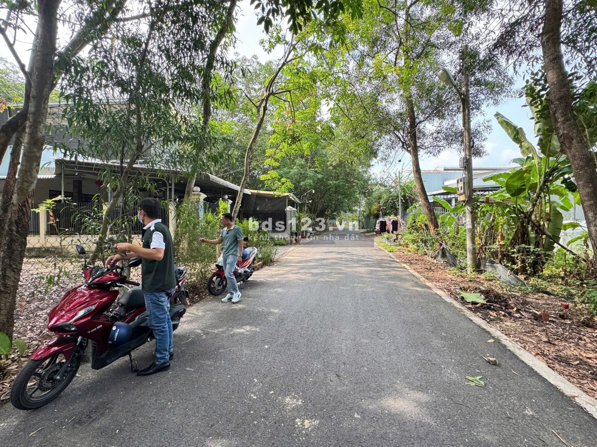 Cần bán gấp mảnh đất vườn ở An Tây, Bến Cát, Bình Dương trước ngày 11/5