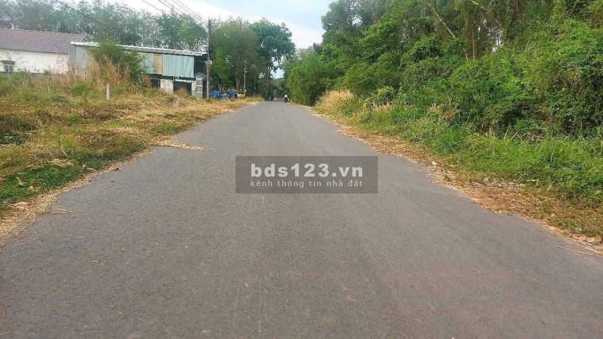 Cần bán gấp mảnh đất vườn ở An Tây, Bến Cát, Bình Dương trước ngày 11/5