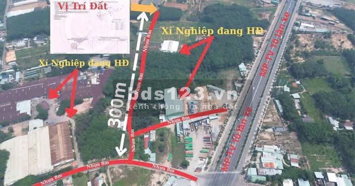 Đất nền Tân Định Bến Cát – Sổ riêng – Giá đầu tư cực tốt