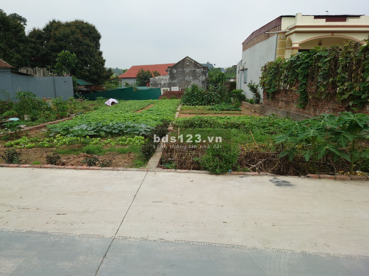 CƠ HỘI VÀNG! BÁN GẤP LÔ ĐẤT 80M² ĐƯỜNG HẬU DƯỠNG, KIM CHUNG