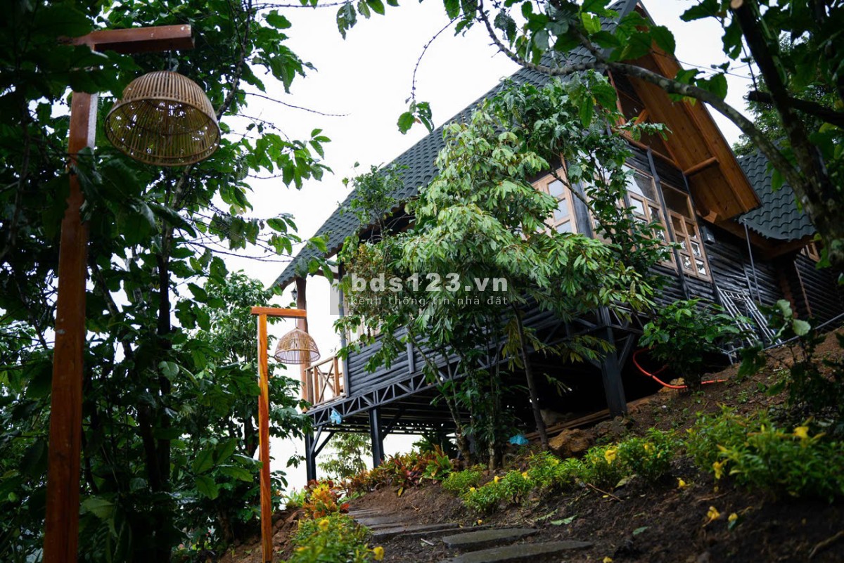 Chính chủ cần bán đất 1000m2 kèm nhà gỗ view đẹp, dành cho người đủ duyên giá 2 tỷ 789tr/căn