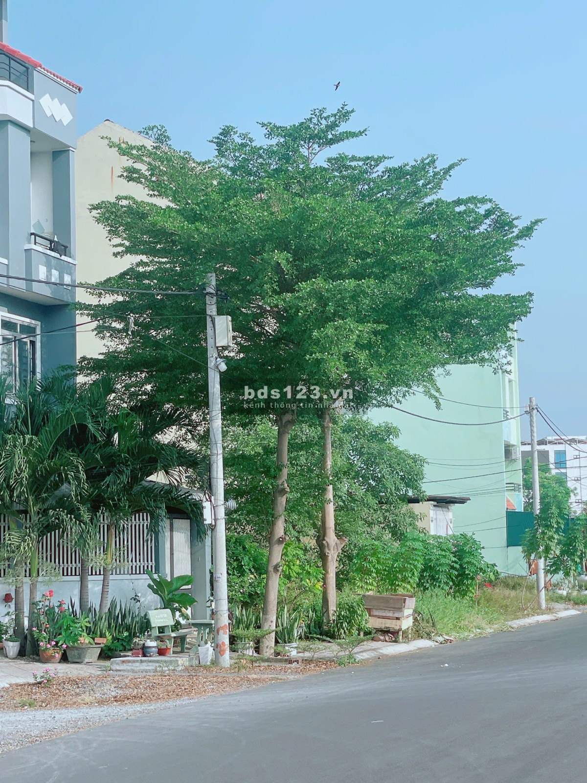 Chính chủ cần bán gấp lô đất nhà phố 6x18 nên A2 gần Tạ Quang Bửu giá 3 tỷ 460