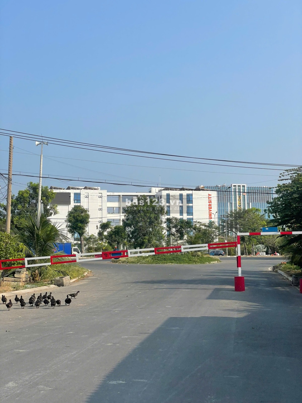 Chính chủ cần bán gấp lô đất nhà phố 6x18 nên A2 gần Tạ Quang Bửu giá 3 tỷ 460