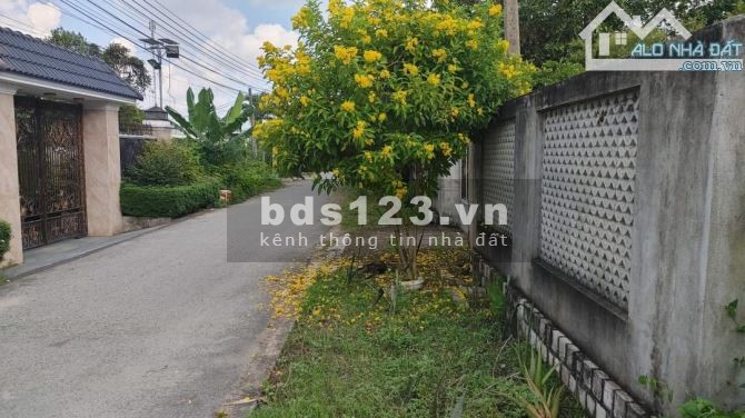 Gần cầu An Hóa, Long Hòa, Bình Đại, Bến Tre.Ngộp bank bán rẻ nhà đất 174m2 full thổ. Giá 980tr- Qua