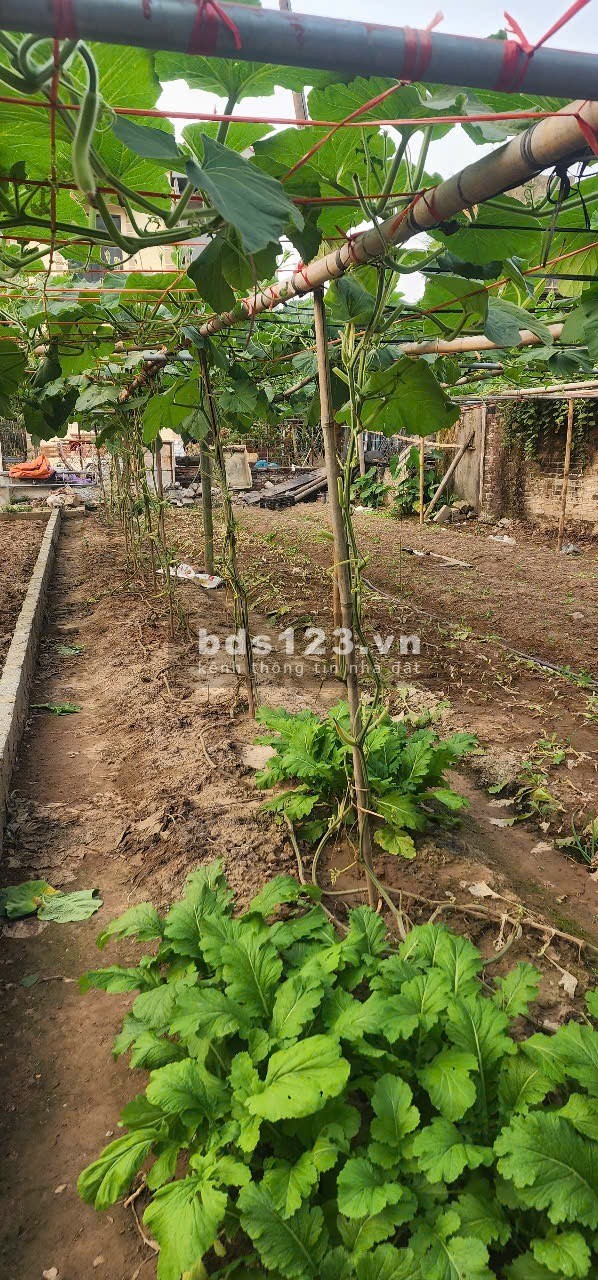 Đất full thổ cư, dân cư giàu có, lô 2 mặt tiền trước sau