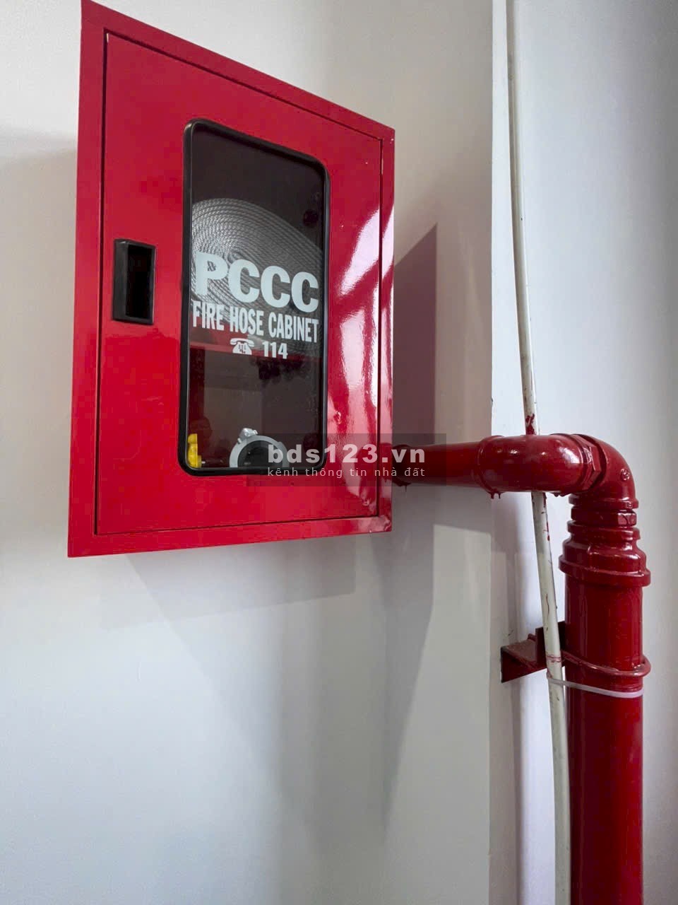 Bán Toà Nhà CHDV Đường Nguyễn Văn Đậu, Phường 07, Quận Bình Thạnh, Hồ chí Minh