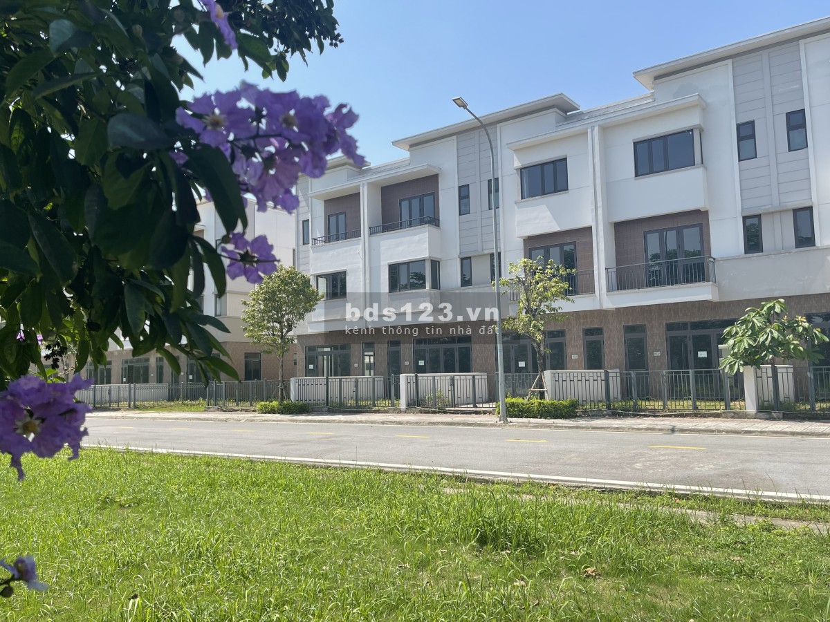 Bán quỹ Shophouse hàng giới hạn tại Từ Sơn