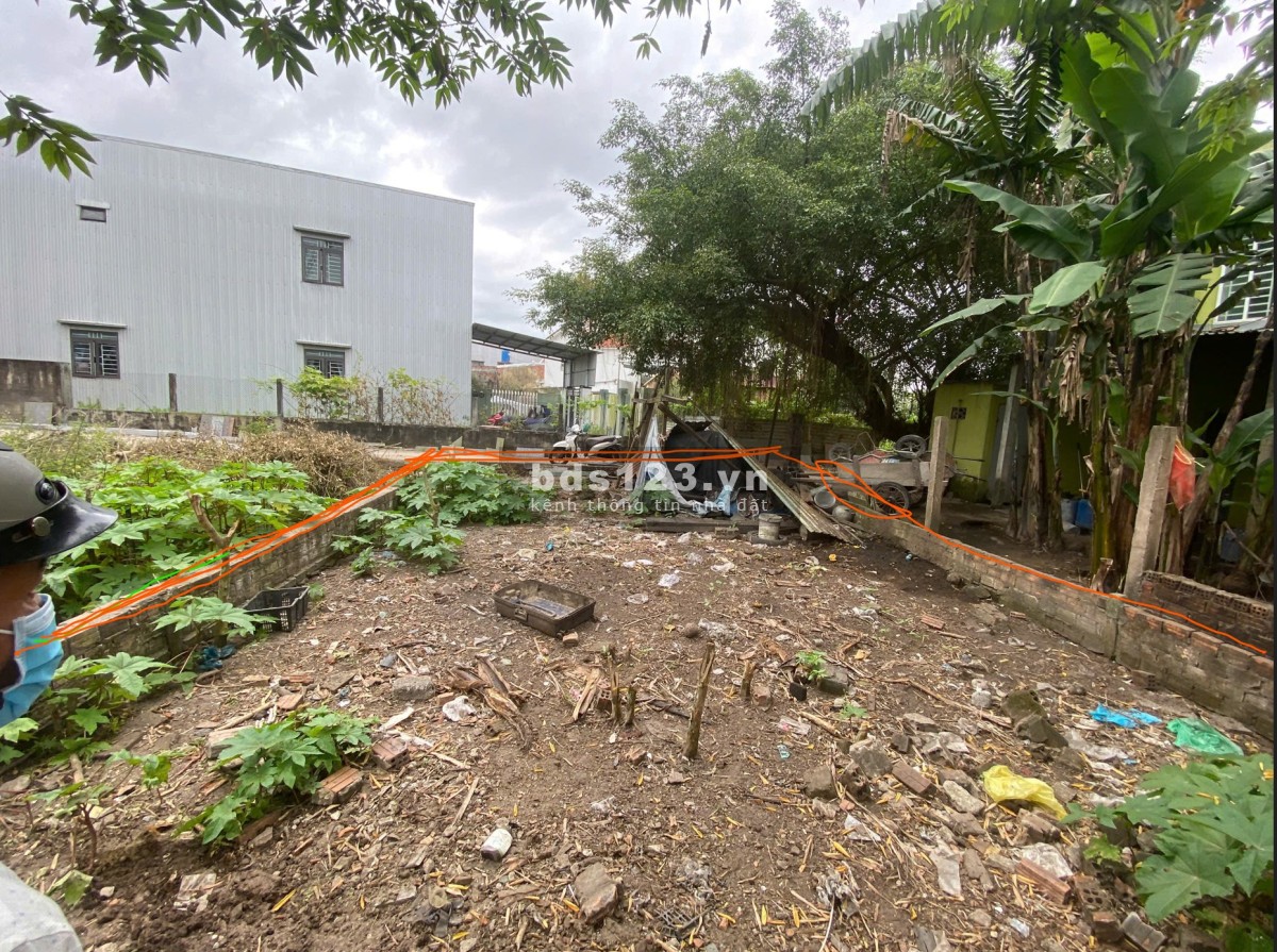 Bán lô đất kiệt ô tô 5m – Thôn Dương Sơn, phường Hòa Châu, Đà Nẵng – Gần trung tâm thành phố