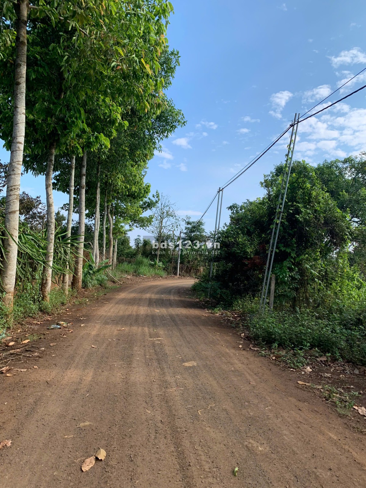 CƠ HỘI ĐẦU TƯ,SỔ HỒNG RIÊNG, THẤP NHẤT THỊ TRƯỜNG. P, ĐOÀN KẾT, TX BUÔN HỒ, TỈNH ĐĂK LĂK