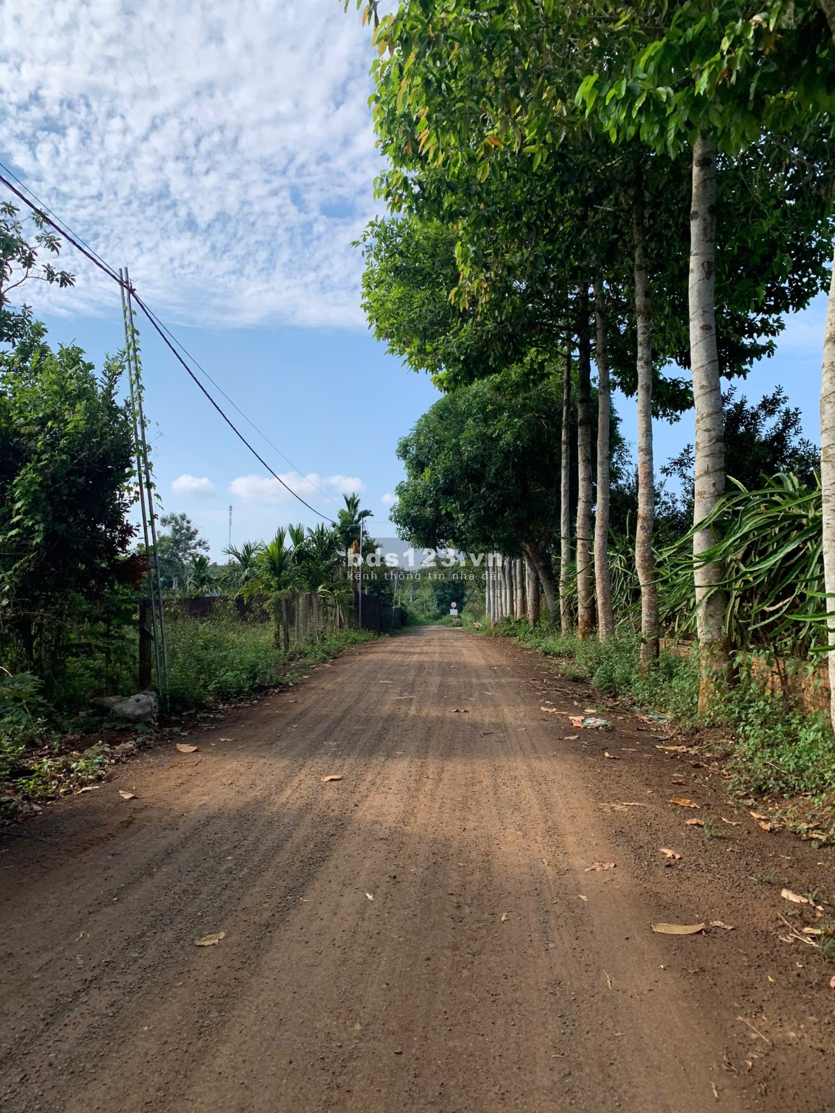 CƠ HỘI ĐẦU TƯ,SỔ HỒNG RIÊNG, THẤP NHẤT THỊ TRƯỜNG. P, ĐOÀN KẾT, TX BUÔN HỒ, TỈNH ĐĂK LĂK