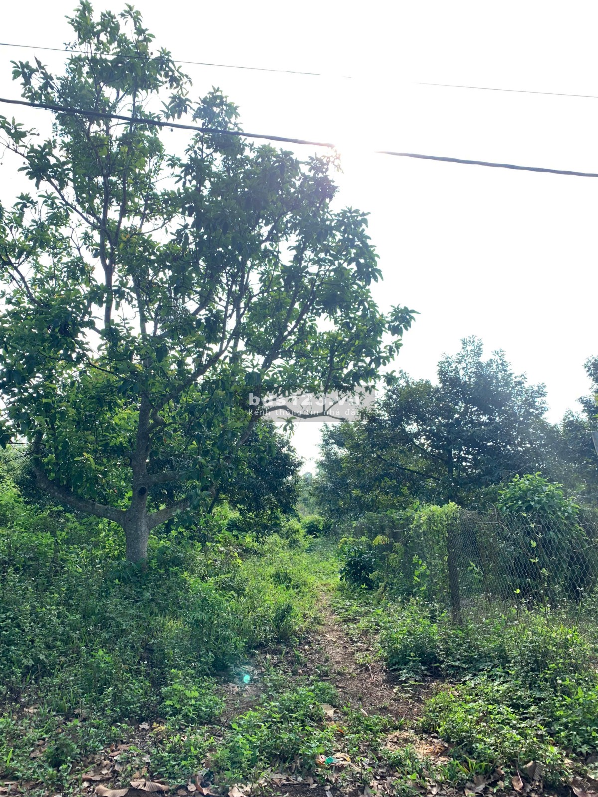 CƠ HỘI ĐẦU TƯ,SỔ HỒNG RIÊNG, THẤP NHẤT THỊ TRƯỜNG. P, ĐOÀN KẾT, TX BUÔN HỒ, TỈNH ĐĂK LĂK