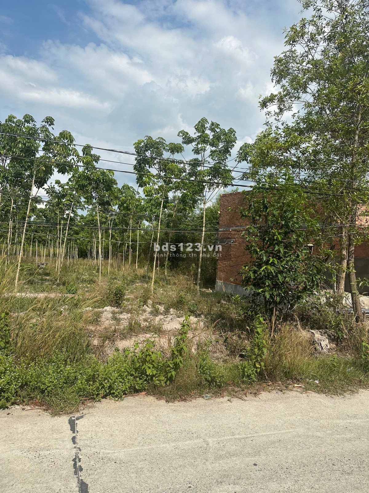 Cần Bán Gấp 241m2 Đất Gần KCN 600tr