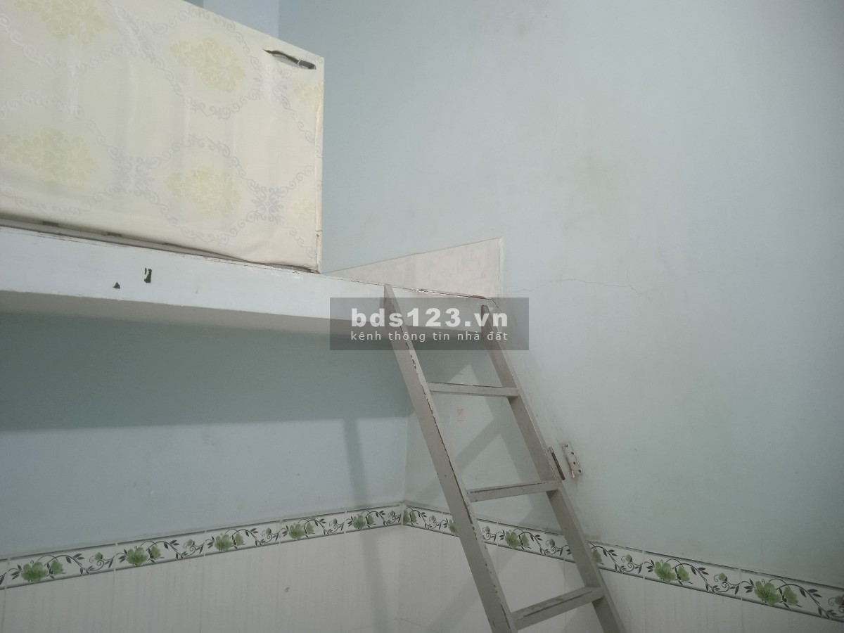 Cần người ở ghép chung cho vui.