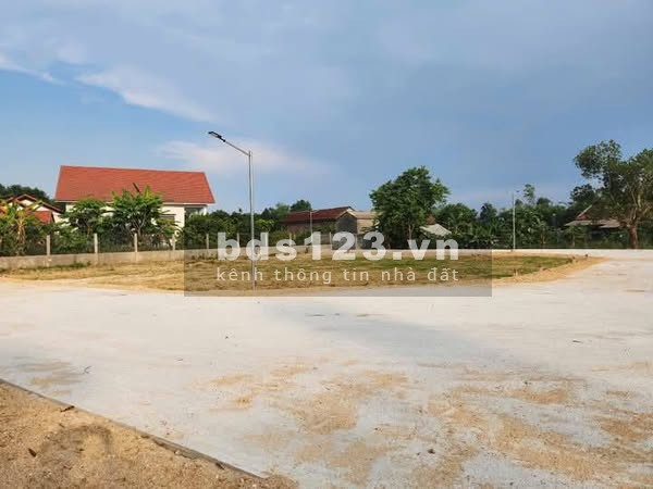 HÀNG PHÂN LÔ F0 TỨ HẠ, HƯƠNG TRÀ, TP HUẾ GIÁ RẺ
