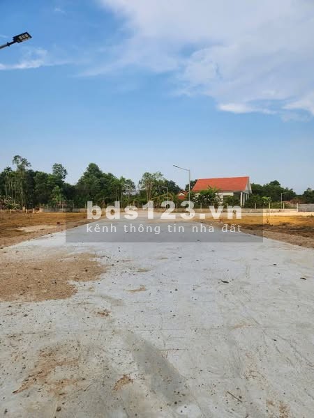 HÀNG PHÂN LÔ F0 TỨ HẠ, HƯƠNG TRÀ, TP HUẾ GIÁ RẺ