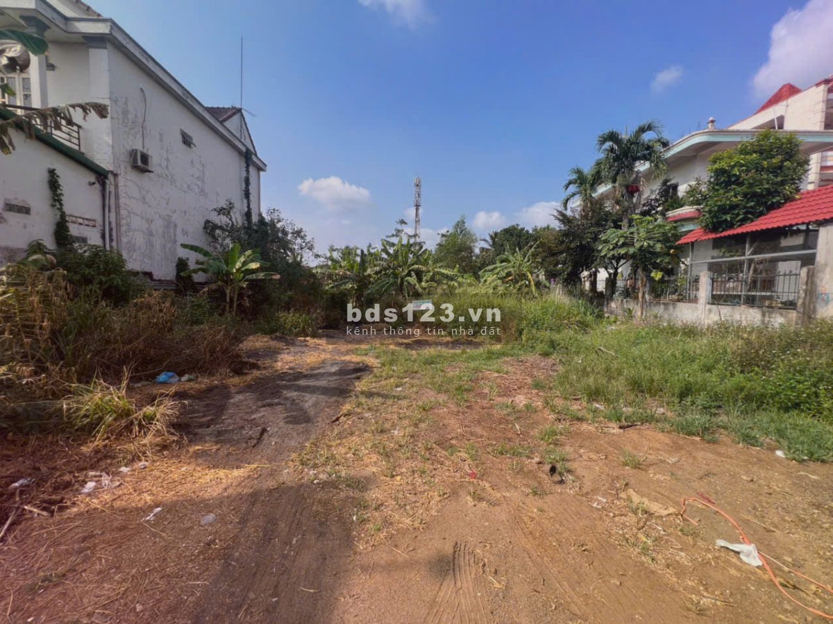 Bán Đất Giá hấp dẫn Bất Ngờ – Gần Trung Tâm, Giao Thông Thuận Lợi! Mua là thần tài gõ cửa