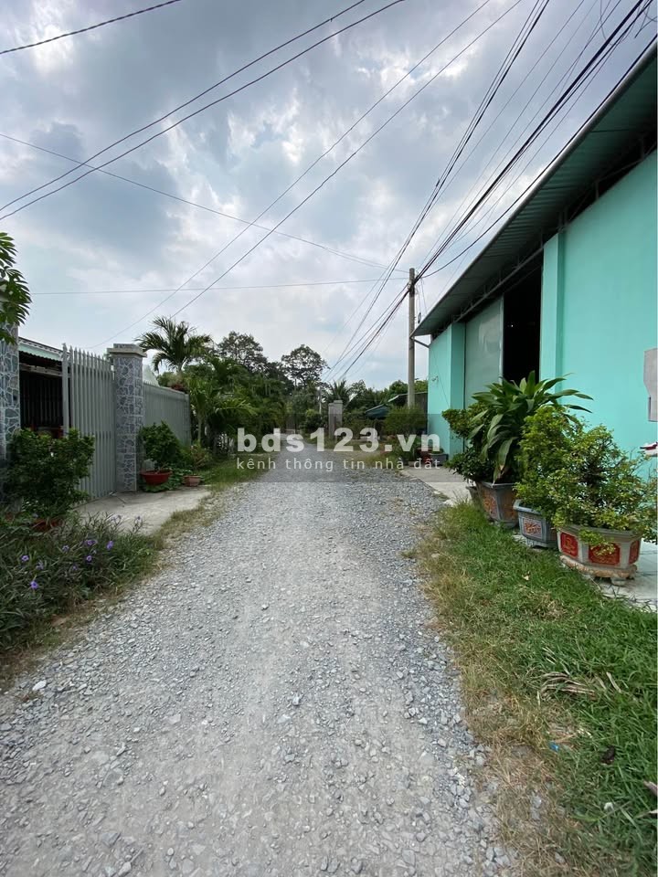 Cần bán 155,4 m2 đất ODT giá 340 triệu Khu Phố Hòa Hưng, Phường An Hòa, Trảng Bàng, Tây Ninh