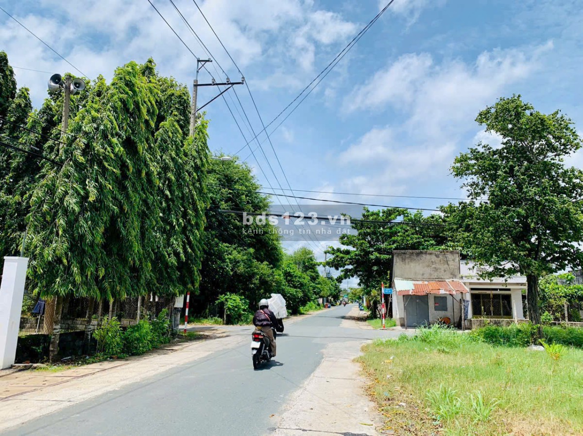 Kẹt bank cần ra gấp 187,3m2 đất mặt tiền đường 42, xã Tân Thông Hội, huyện Củ Chi 800 triệu