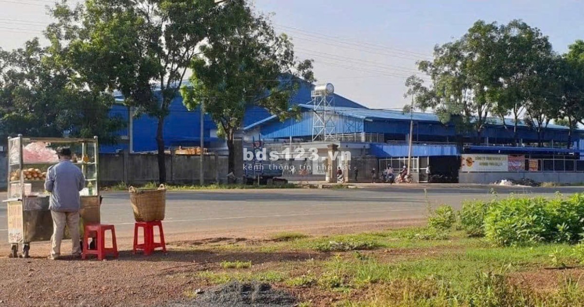 Thu hồi vốn bán gấp 1300m² đất sẵn thổ cư gần khu công nghiệp Đông Công Nhân. Giá 235 triệu