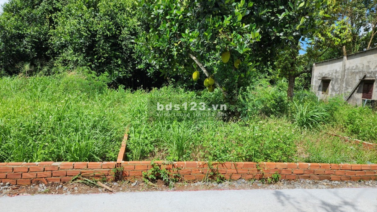 Chính chủ cần bán 120m2 đất ở, bên cạnh dự án Vin 810ha