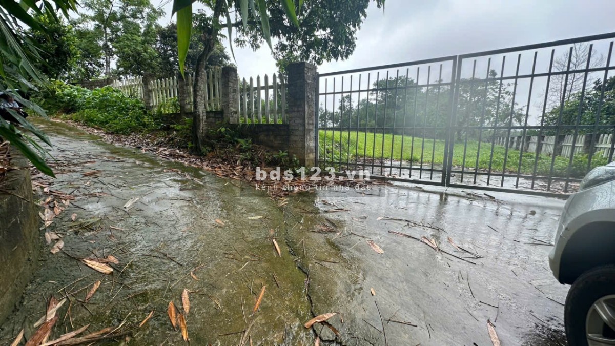 Chủ cần bán gấp 1.800m cách Thiên Sơn Suối Ngà 2km tại Vân Hòa Ba Vì Chỉ 3,5tr/m