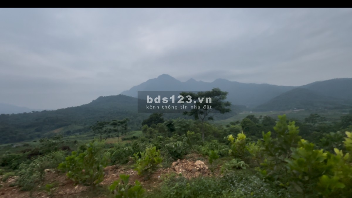 Tại vân Hoà bán 5.085m có nhà sàn đang xây view núi cực đỉnh, đối diện khu đất đáu giá chỉ 5,5tr/m