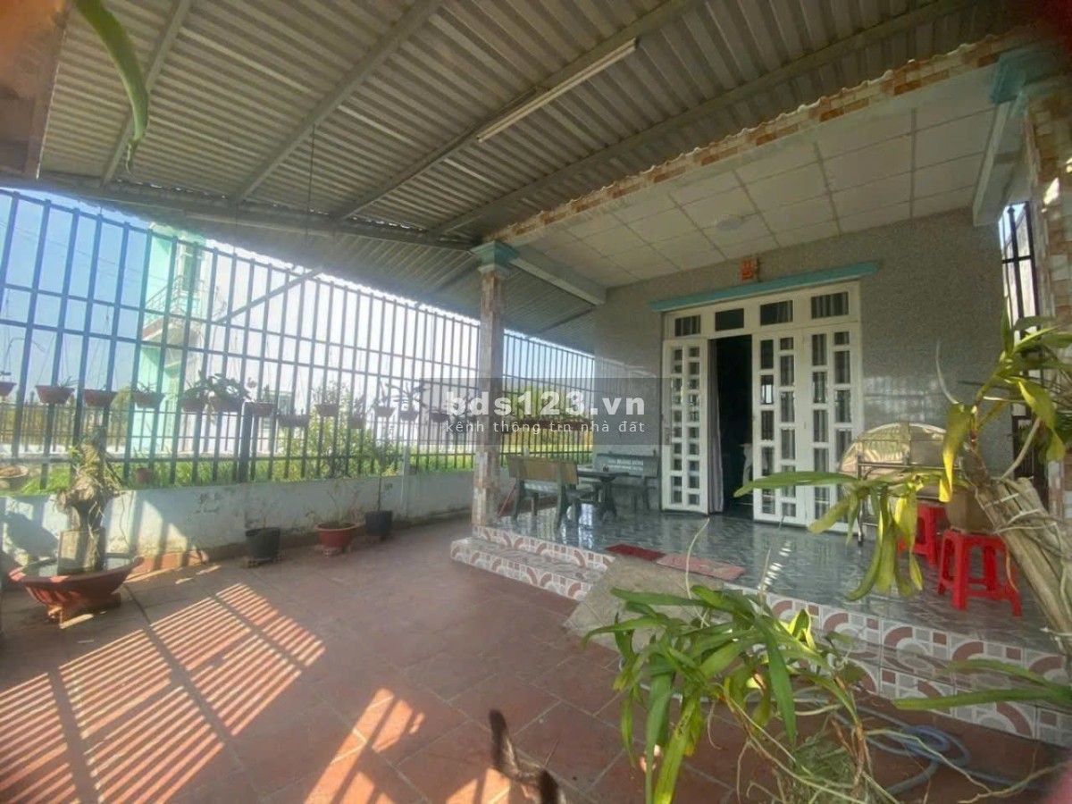 Ngân hàng phát mãi nhà cấp 4 khu vực Bình Chánh (HCM), giá rẻ hơn thị trường, sổ hồng riêng