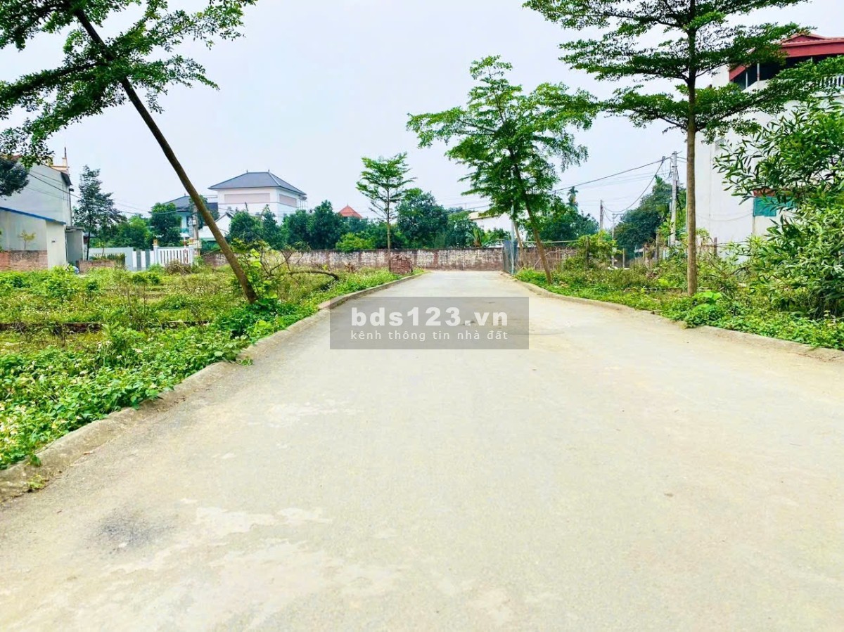 Bán lô đất C2 – 61,9m² – Thôn 7, Tân Xã, giá 50tr/m²