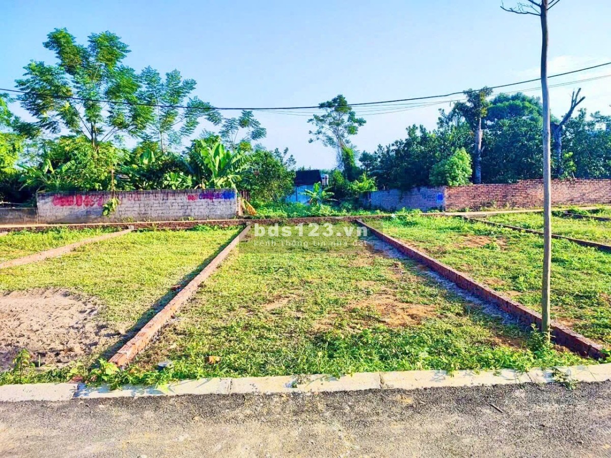 Bán lô đất C2 – 61,9m² – Thôn 7, Tân Xã, giá 50tr/m²