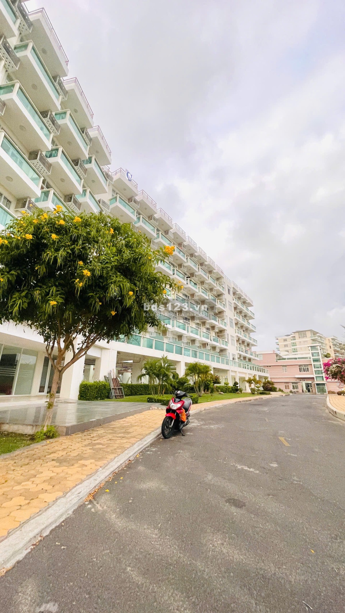 Cho thuê căn hộ nghĩ dưỡng Ocean Vista ngay bãi đá Ông Địa